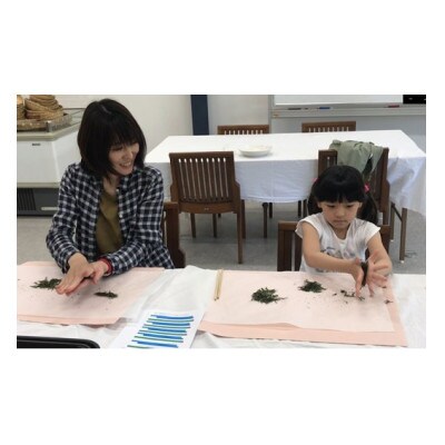 【体験:6月末まで】村内の茶畑で茶摘み&手もみ製茶体験!(大人ペアチケット)