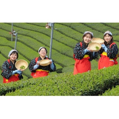 【体験:6月末まで】茶娘衣装を着て茶畑の中で撮影プラン(大人1名:中学生以上)