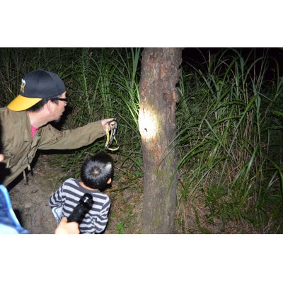 虫捕り名人と行く「昆虫採集ツアー」ご利用券(グループ貸切用・車1台)