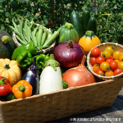 【SEAPA】淡路島玉ねぎと夏野菜のトラベルBOX