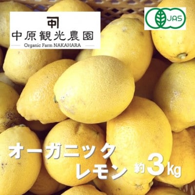 中原観光農園のオーガニックレモン 約3kg [有機JAS認証]