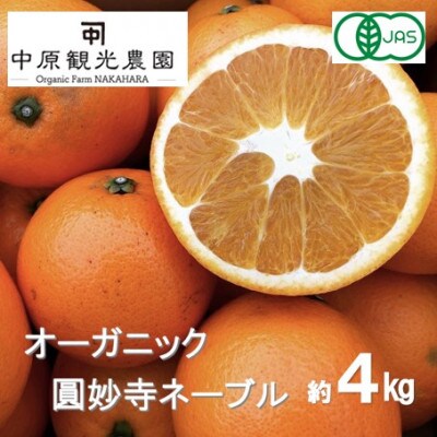 【1月中旬〜2月発送】中原観光農園 大崎上島産 オーガニック圓妙寺ネーブル 約4kg　有機JAS認証