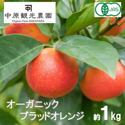 【2月下旬〜3月発送】 大崎上島産 　オーガニックブラッドオレンジ 約1kg　(有機JAS認証)