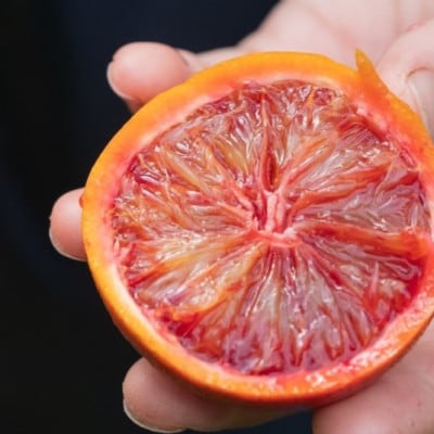 【2月下旬〜3月発送】 大崎上島産 　オーガニックブラッドオレンジ 約1kg　(有機JAS認証)