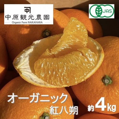 【1月下旬〜2月発送】中原観光農園　大崎上島産 有機JAS認証!オーガニック紅八朔 約4kg