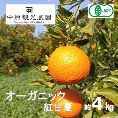 【2月下旬〜4月発送】中原観光農園 大崎上島産 オーガニック紅甘夏 約4kg　有機JAS認証