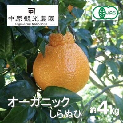 【2月下旬〜3月発送】中原観光農園　大崎上島産　オーガニックしらぬひ 約4kg　 (有機JAS認証)