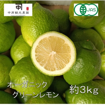 【2025年10月～11月発送】大崎上島産オーガニックグリーンレモン 約3kg(有機JAS認証)