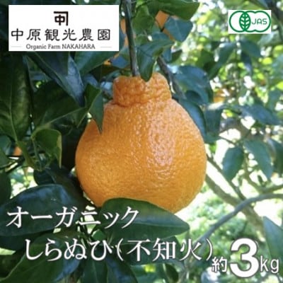 【2026年2月発送】中原観光農園　大崎上島産　オーガニックしらぬひ 約3kg　 (有機JAS認証)