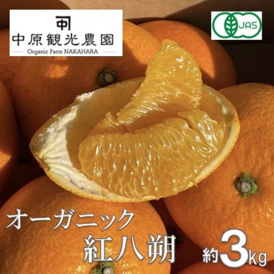【2026年1月下旬より順次発送】中原観光農園　大崎上島産オーガニック紅八朔　約3kg有機JAS認証