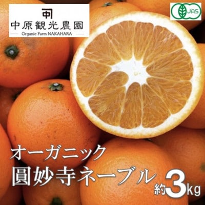 【2026年1月上旬より順次発送】大崎上島産オーガニック圓妙寺ネーブル 約3kg　(有機JAS認証)