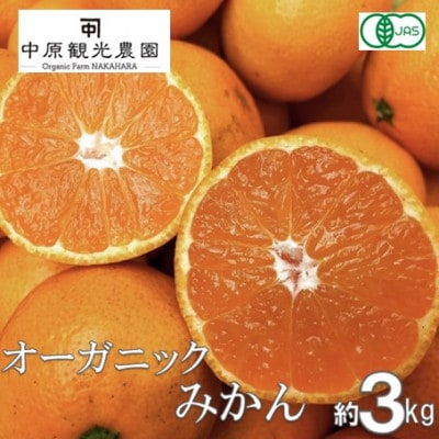 【2025年10月～2026年1月発送】 大崎上島産 オーガニックみかん約3kg　(有機JAS認証)