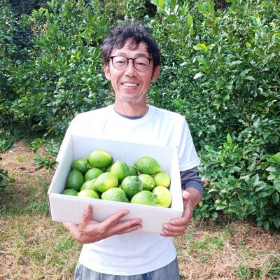 【2026年10月～11月発送】大崎上島産オーガニックグリーンレモン 約5kg(有機JAS認証)