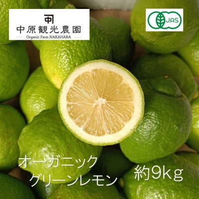 【2026年10月～11月発送】大崎上島産オーガニックグリーンレモン 約9kg(有機JAS認証)