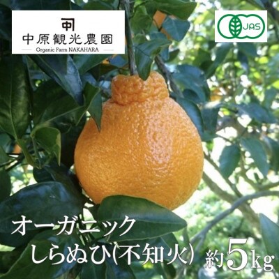 【2027年2月より発送】中原観光農園　大崎上島産オーガニックしらぬひ 約5kg (有機JAS認証)