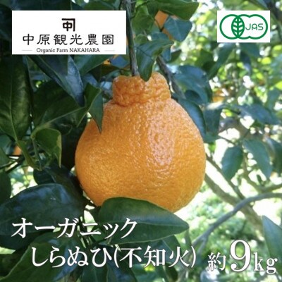 【2027年2月より発送】中原観光農園　大崎上島産オーガニックしらぬひ 約9kg (有機JAS認証)