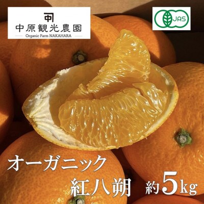 【2027年1月下旬より順次発送】中原観光農園　大崎上島産オーガニック紅八朔　約5kg有機JAS認証