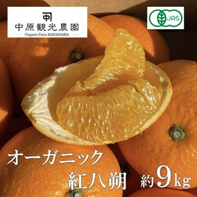 【2027年1月下旬より順次発送】中原観光農園　大崎上島産オーガニック紅八朔　約9kg有機JAS認証