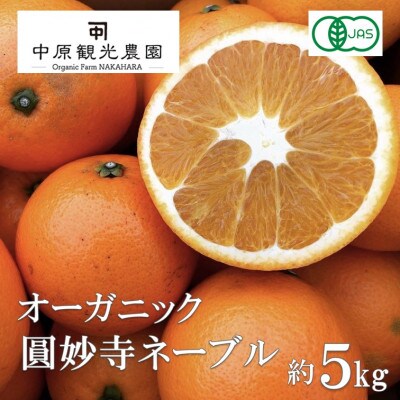 【2027年1月上旬より順次発送】大崎上島産オーガニック圓妙寺ネーブル 約5kg　(有機JAS認証)