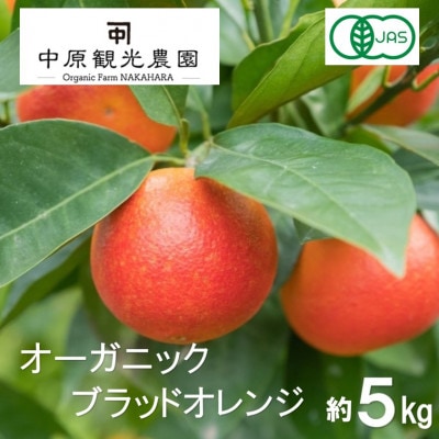 【2月下旬〜3月発送】 大崎上島産 　オーガニックブラッドオレンジ 約5kg　(有機JAS認証)