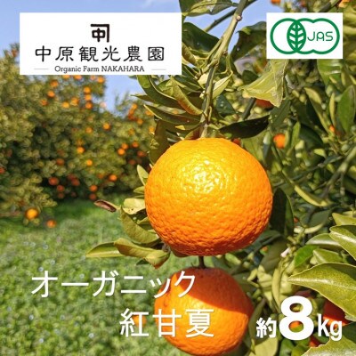 【3月下旬〜4月発送】中原観光農園 大崎上島産 オーガニック紅甘夏 約8kg　有機JAS認証