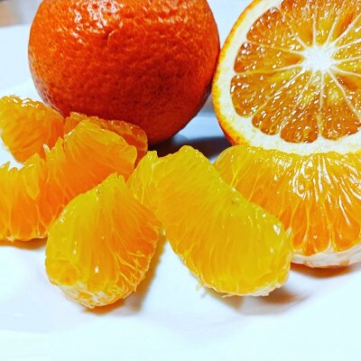 【3月下旬〜4月発送】中原観光農園 大崎上島産 オーガニック紅甘夏 約8kg　有機JAS認証