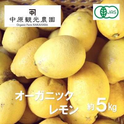 中原観光農園のオーガニックレモン 約5kg [有機JAS認証]