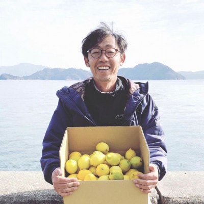 中原観光農園のオーガニックレモン 約9kg [有機JAS認証]