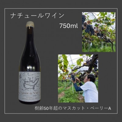 マスカット・ベーリーAのナチュラルワインVignoble de NAKA rouge MBA