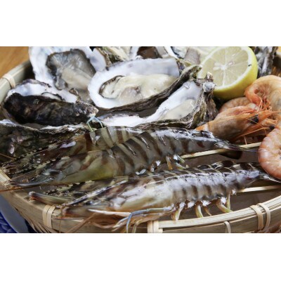 フローズンスペシャル 車海老約250g&塩田熟成牡蠣12個セット