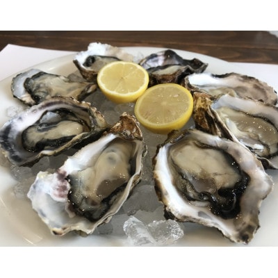 クレールオイスター(ハーフシェル12個入り)(冷凍 塩田熟成牡蠣)