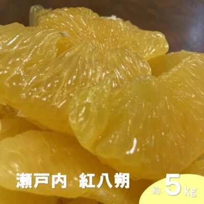 【2月発送】 瀬戸内 紅八朔 約5kg(15個程度)