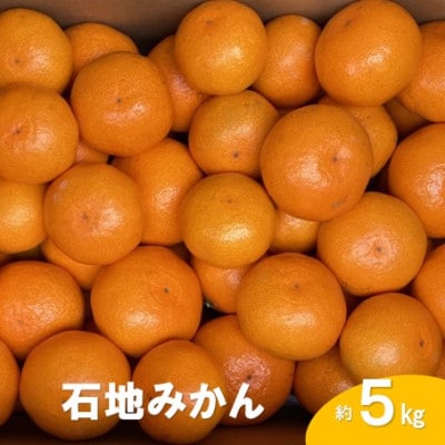 【先行受付】【2025年12月発送】瀬戸内 石地みかん 約5kg(約50個前後)