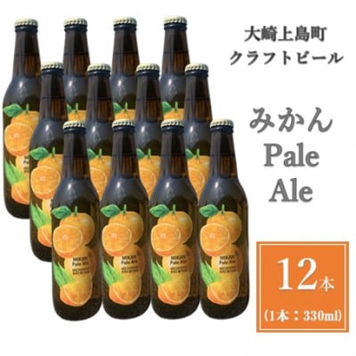 クラフトビール　みかんペールエール　12本セット