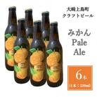 クラフトビール　みかんペールエール　6本セット