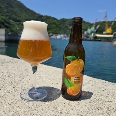 クラフトビール　みかんペールエール　6本セット