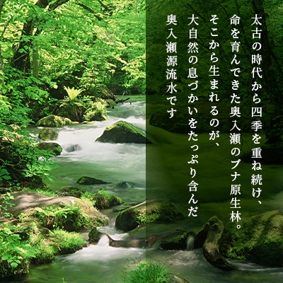 奥入瀬源流水500ml×24本