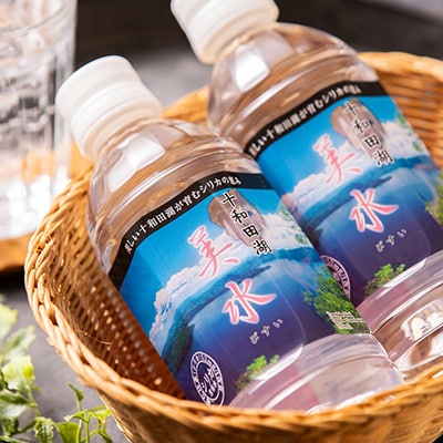 十和田湖美水350ml×24本