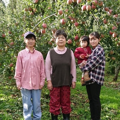 【1月発送】十和田深持りんご【サンふじ】10kg(中玉40個)