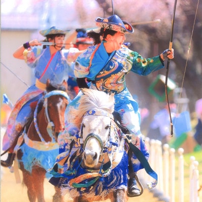 【4/18(土)・十和田市中央公園】「第23回桜流鏑馬」観覧チケット1枚1名様