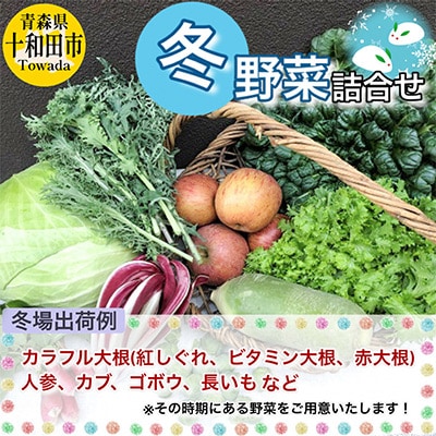 《レビュー高評価商品》【青森県産】季節に出会える「旬」の野菜セット10〜15品