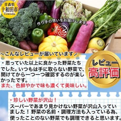 《レビュー高評価商品》【青森県産】季節に出会える「旬」の野菜セット10〜15品