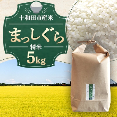 (新米!)【令和7年産】十和田市産米「まっしぐら」精米 5kg