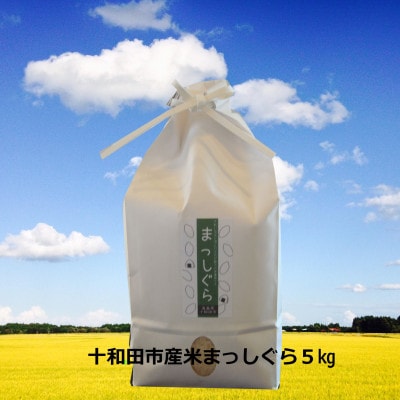 【令和7年産】十和田市産米「まっしぐら」精米 5kg