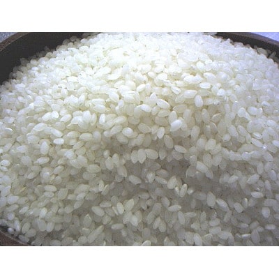 【令和7年産】十和田市産米「まっしぐら」精米 5kg