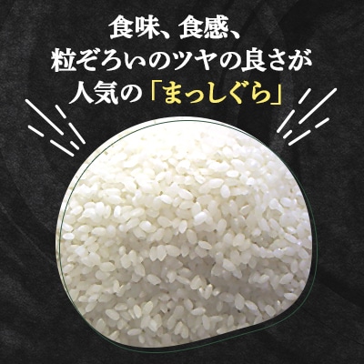 (新米!)【令和7年産】十和田市産米「まっしぐら」精米 5kg