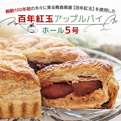 青森県十和田市産　百年紅玉アップルパイ　ホール5号