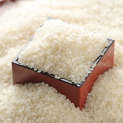 令和2年産青森県産まっしぐら白米5kg×1袋