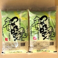 【令和4年産】青森県産つがるロマン　5kg x 2