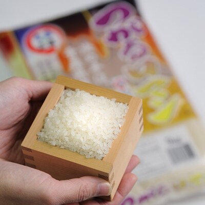 【令和2年産】青森県産つがるロマン 5kg x 2